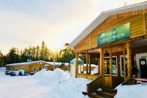 Forfaits de chasse à l'ours noir — Relais 22 Milles – Relais 22 Milles
