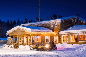 Forfaits de chasse à l'ours noir — Relais 22 Milles – Relais 22 Milles